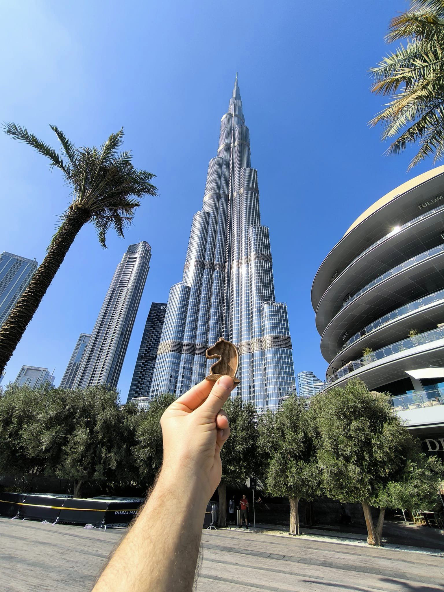 Chess magnets and hanging Knight on Dubai trip